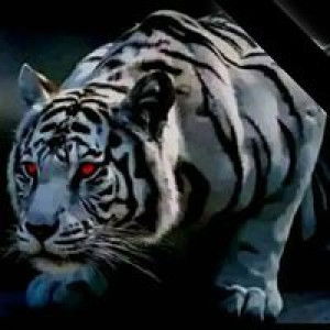 Rahmat Bae profile icon