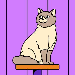 ขนิษฐา นามปัญญา profile icon