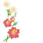 MIA idris profile icon