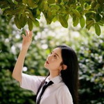 Pungki Nurdiani profile icon