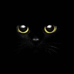 SiSil profile icon