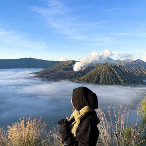 Putri Pertiwi profile icon