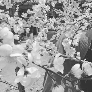 lia putri dwi rahayu profile icon