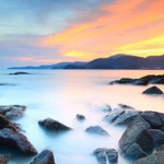 amyra elyna profile icon