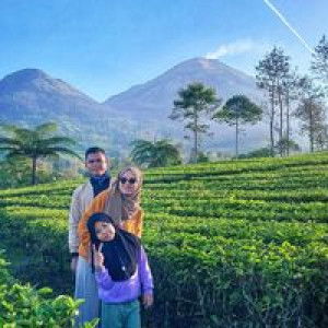 Wahyu Octaviana profile icon