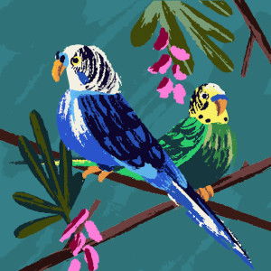 Hasanah Hasanah profile icon