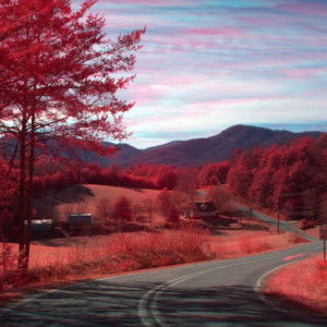 LiLing Alexis Tan profile icon