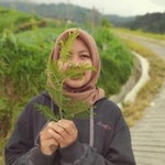 Ernasaa profile icon