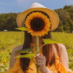 Happy Sun profile icon