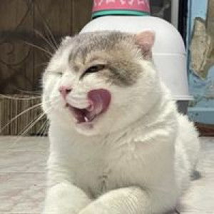 Mai Mai profile icon