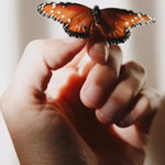 Sulistiyanti profile icon