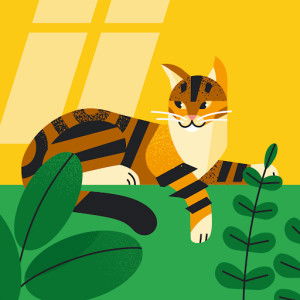 nurulhuda profile icon