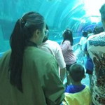 สุภาพ การบุญ profile icon