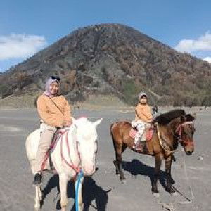 Desii Andayani profile icon