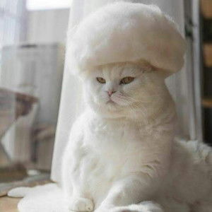 NUR IZZATI profile icon