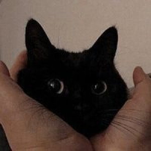 Neu Ra profile icon