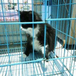 nunik nurohmah profile icon