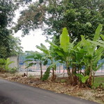 Nur Ain Abd Wahab profile icon
