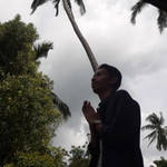 Fadhel Febrian Gafar profile icon