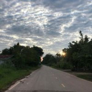 Pang Phattharathida profile icon