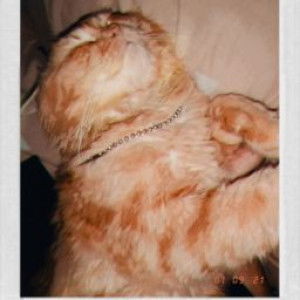 I like jokes But i like hu-mor profile icon