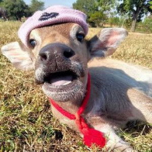 อีสาน สายล่า profile icon