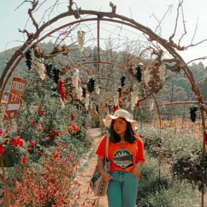 babybai Toei profile icon