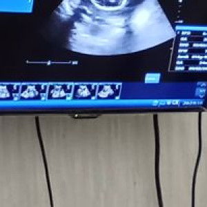 Joni Mastina profile icon