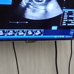 Joni Mastina profile icon