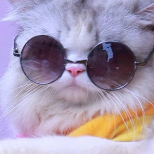 namfonn phleekhunt profile icon