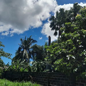 Saaaaaah profile icon