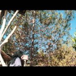 Devii Nuraeni profile icon