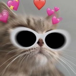 Aghnes Pitaloka profile icon