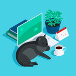 Pisit Tangsittipornchai profile icon