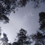 Aar Fiyah profile icon