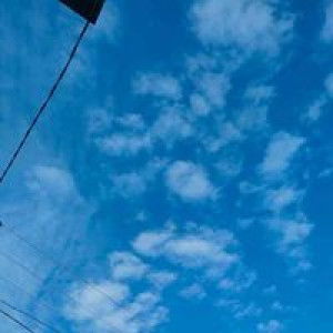 Devi Saputri profile icon