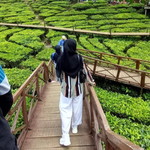 Lailatul Hasanah profile icon