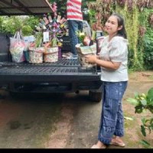 Wan Phapawadee profile icon