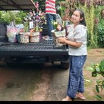 Wan Phapawadee profile icon