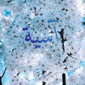 Asiyah Faiz profile icon