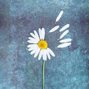 Bora Nam profile icon