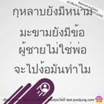 พิมพิศา ศรีดี profile icon