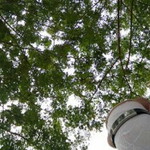 Nurul Tazkia profile icon