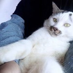 CikTa Rositah profile icon