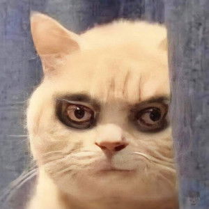 Ja Wilailak profile icon