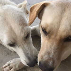 ครู คลุกฝุ่น profile icon