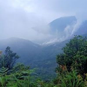 Mey Mey profile icon