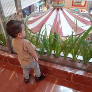 Challum Corner profile icon