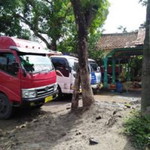 maratuss.sh profile icon