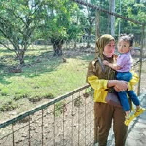 Nur Asiah profile icon